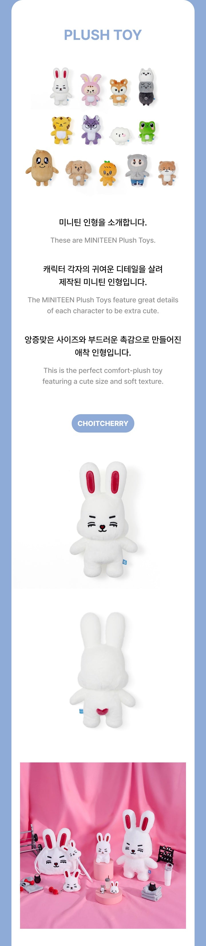 SEVENTEEN MINITEEN HOUSE PARTY FACE PLUSH TOY