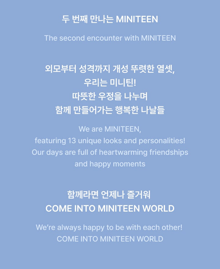 SEVENTEEN MINITEEN HOUSE PARTY FACE PLUSH KEYRING
