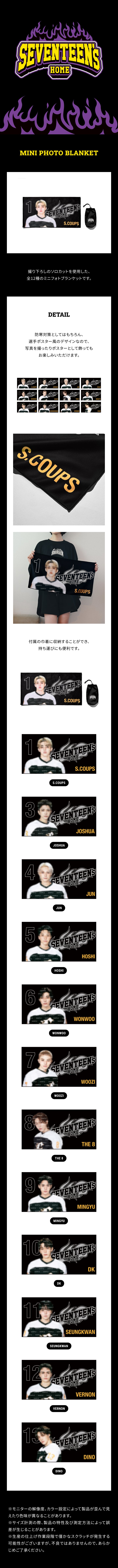 SEVENTEEN JP MD [25 SEVENTEEN's HOME] MINI PHOTO BLANKET