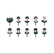 &TEAM 2026 [BALZE THE WAY] IMAGE PICKET