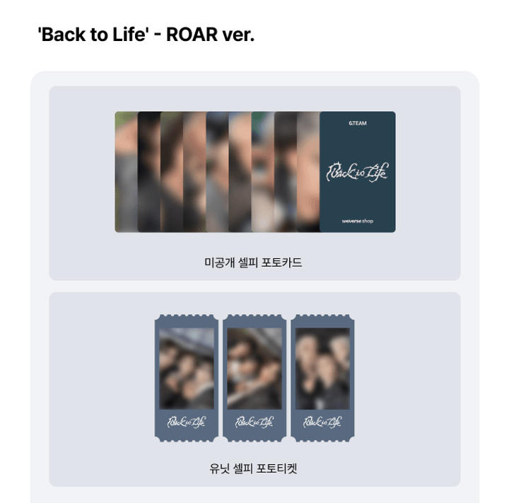 &TEAM KR 1ST MINI ALBUM [BACK TO LIFE] ROAR VER. + POB