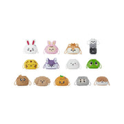 SEVENTEEN MINITEEN HOUSE PARTY POUCH