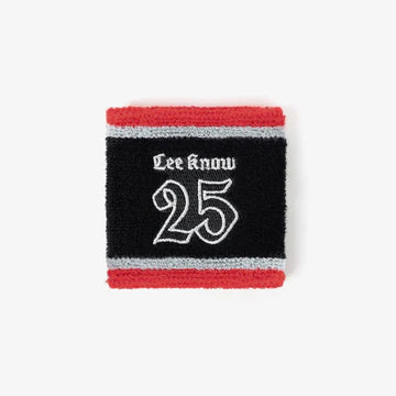 Stray Kids WRISTBAND『Stray Kids World Tour <dominATE JAPAN> 』